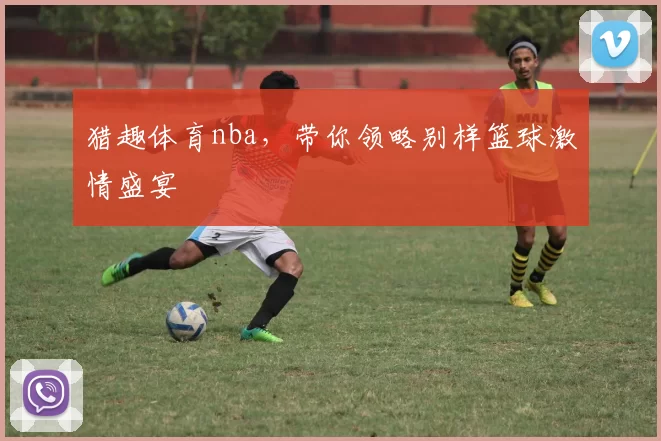 猎趣体育nba，带你领略别样篮球激情盛宴