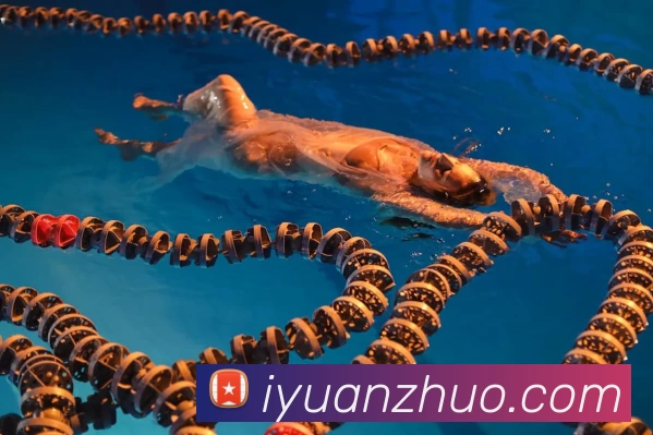 米兰app官网下载入口发展历程